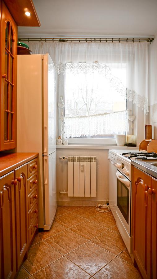 Msc Apartments Zakopane Centrum Classic Kültér fotó